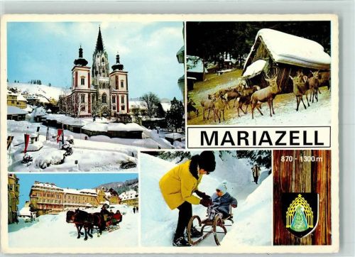 Mariazell Seilschwebebahn auf die Bürgeralpe Schlepplifte Abfahrtsstrecke Rodelbahn Schlitten Winter