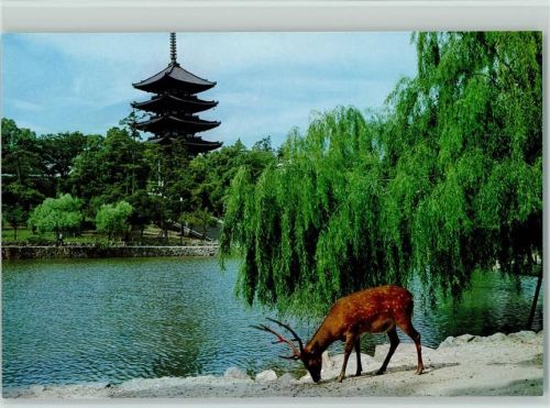 Kyoto Hirsch am Fluß Kyoto Nara & Biwako Riesenkarte TK 86