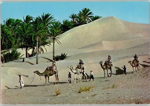 Kamelkarawane in der Sahra Wüste