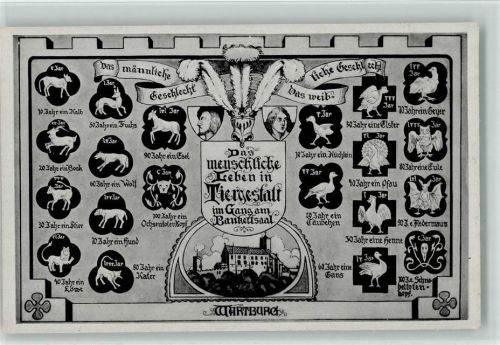 Wartburg Eule / Das menschliche Leben in Tiergestalt