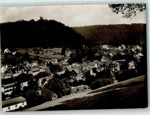 Bad Teinach Luftaufnahme Altenheim