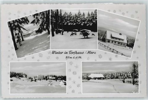 Torfhaus Winter-Karte