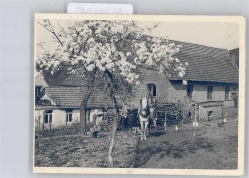 Fischbach Foto