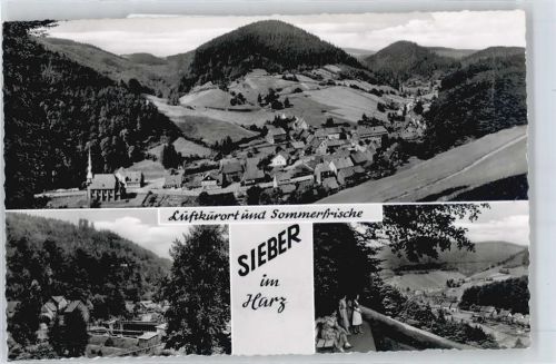 Sieber