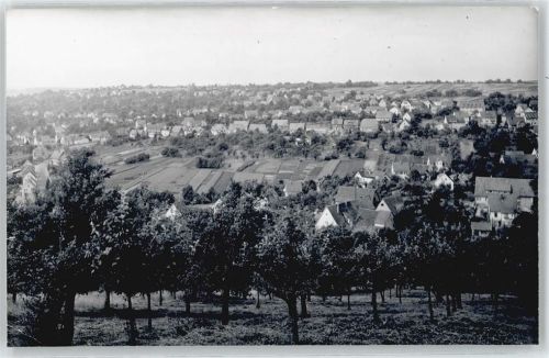 Aich Foto