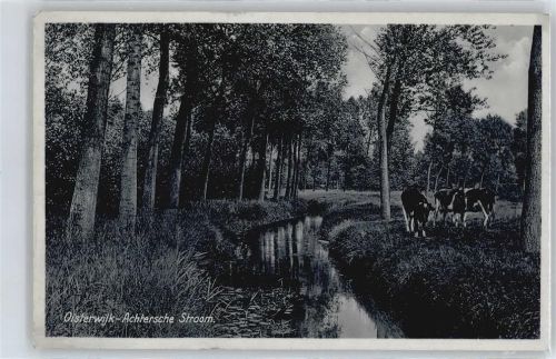 Oisterwijk