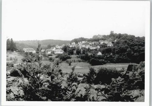 Altweilnau Foto