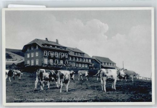Belchen Hotel Belchenhaus