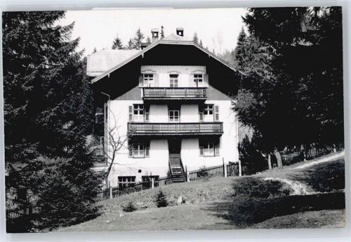Birkenstein