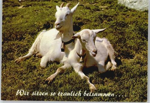 Wir sitzen so traulich beisammen...