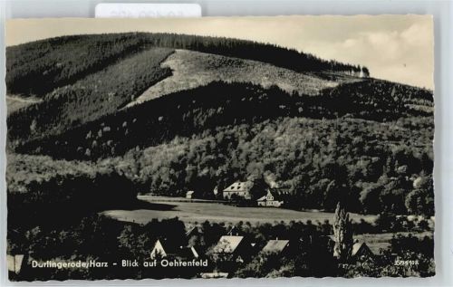 Darlingerode Berg Wald Haus