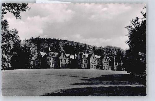 Waldleiningen Schloß