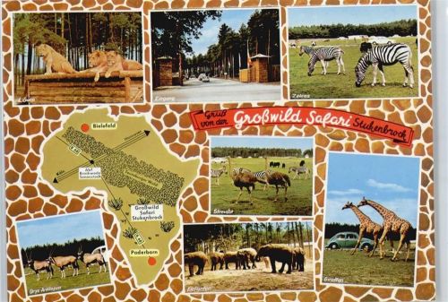 Stukenbrock Großwild-Safari
