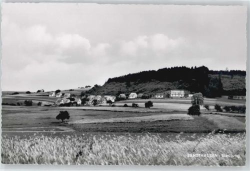 Ernsthausen Feld Baum Haus