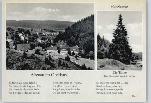 Altenau Berg Wald Haus Auto