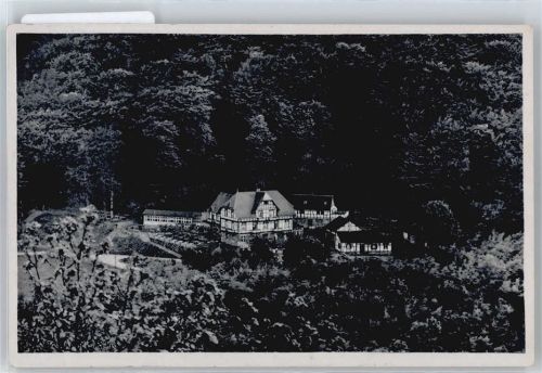 Königswinter Hotel Löwenburgerhof Baum