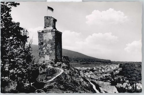 Falkenstein Burgruine Flagge Panorama Haus Baum Berg