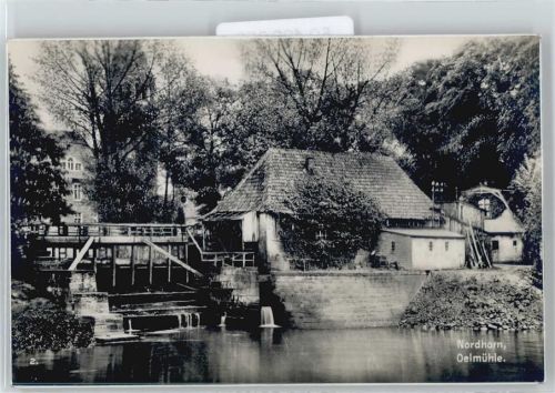 Nordhorn Trinks AK