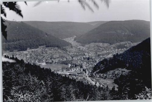 Calmbach Foto