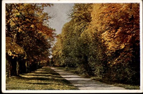 Herbstlandschaft