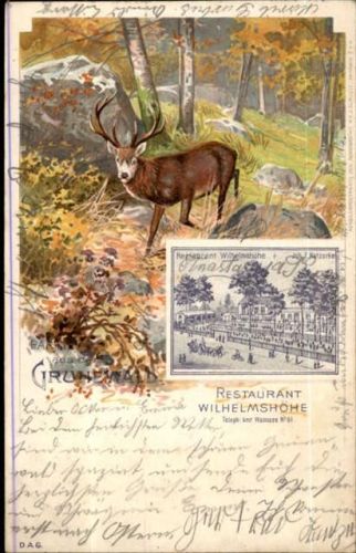 Grunewald Restaurant Wilhelmshöhe