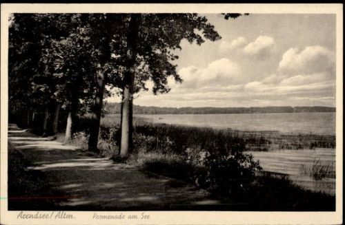 Arendsee