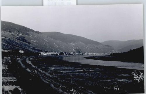 Zell Foto