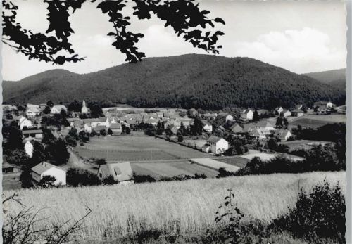 Gellershausen Pension Haus Waldeck Feld Haus Berg Baum