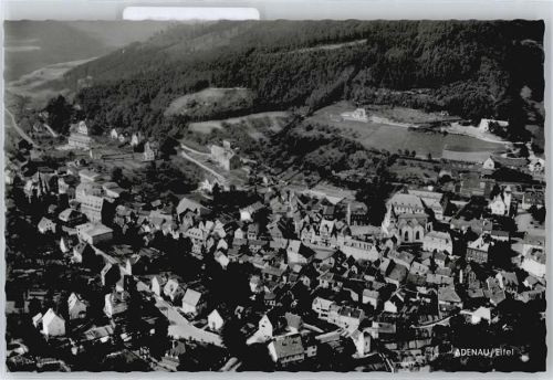 Adenau Fliegeraufnahme Berg Wald Haus