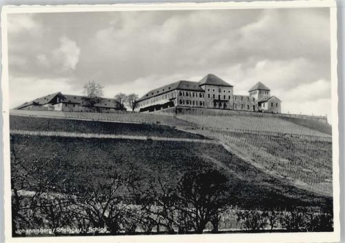 Johannisberg Schloss Baum Berg