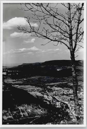 Unterhausen Gesamtansicht Baum Tal Berg