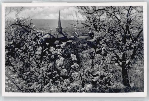Bensheim Blütezeit