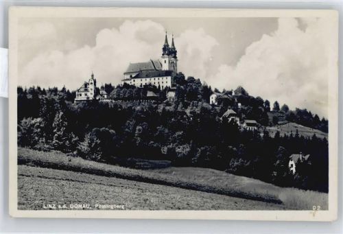 Linz Berg Feld Baum
