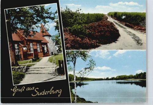29556 W3113 Suderburg