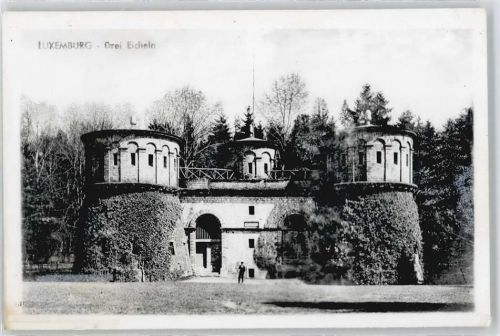 Burg Fußgänger Wiese Baum Foto