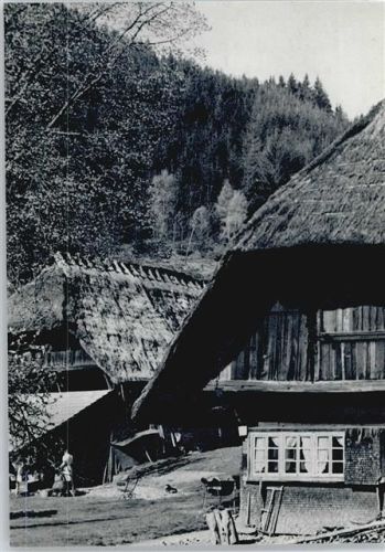 Wolfach Hof