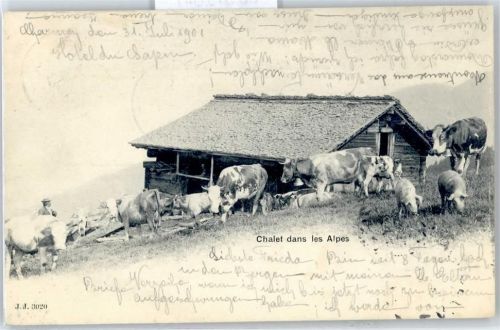 Kühe Chaltes dans les Alpes