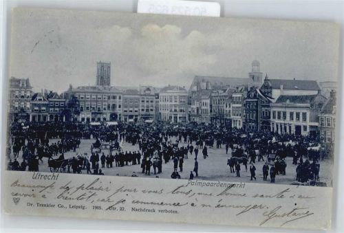 Utrecht Palmpaardenmarkt