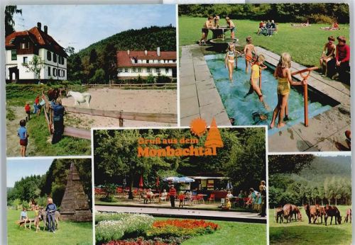 Monakam Minigolf , Ponyhof