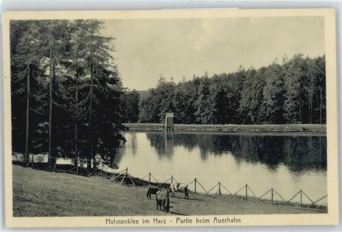 Hahnenklee