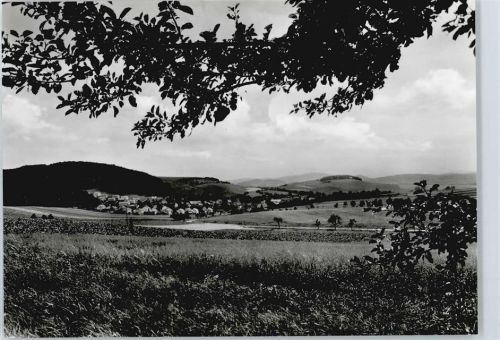 Reiffenhausen Gesamtansicht Feld Haus Baum Berg