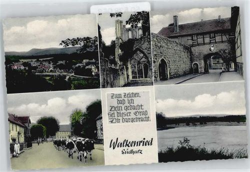 Walkenried Kuh, Kloster
