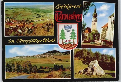 92723 W8481 Tännesberg - Staatl. anerkannter Erholungsort, Teilansicht, Denkmal