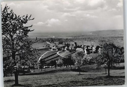Ötlingen Gasthaus Dreiländerblick Panorama