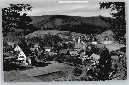 Enzklösterle