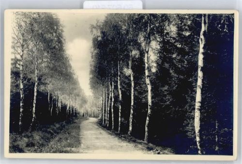 Tharandt Waldweg