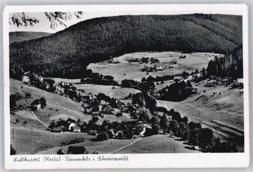 Obertal Panorama Berg