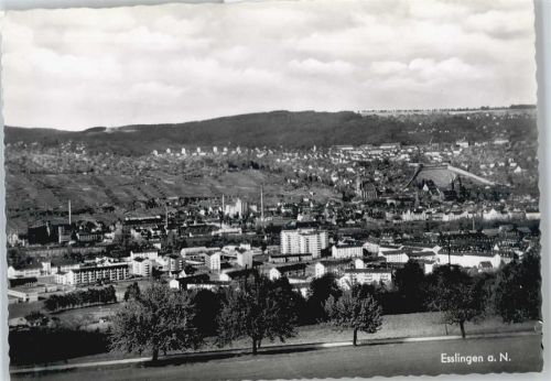Esslingen Panorama Berg