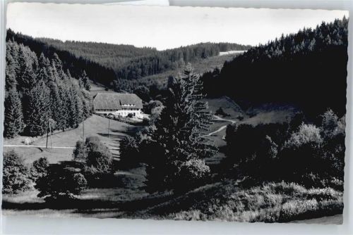 Grafenhausen Hotel Pension Schlüchtmühle Bes. Otto Stier