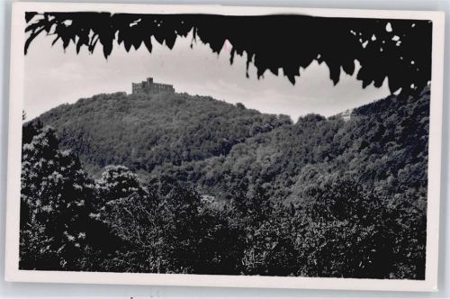 Hambach Maxburg